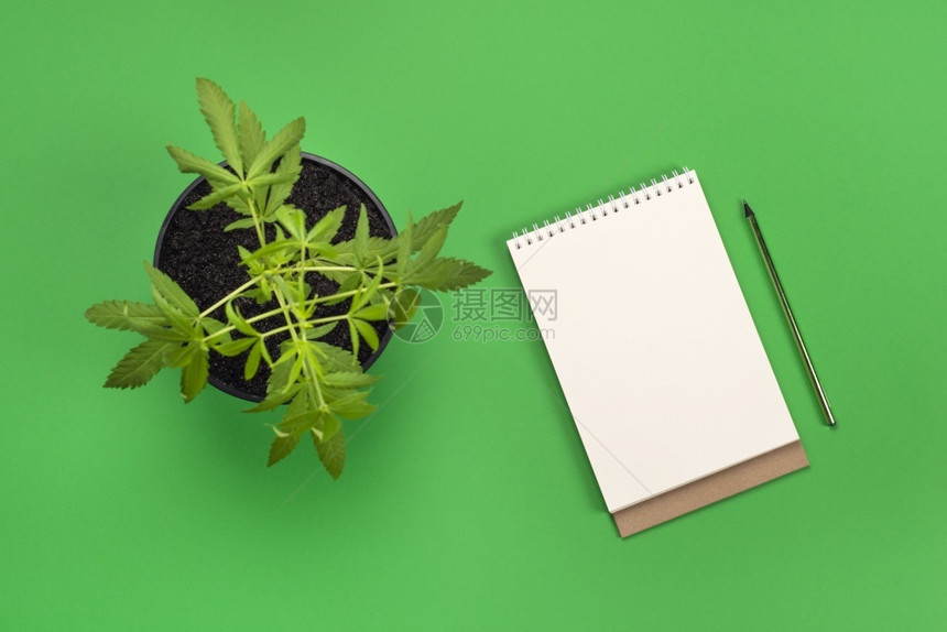 绿色盆栽和纸笔图片