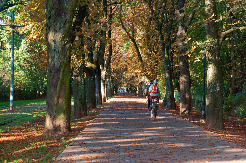 2018年9月6日俄罗斯加里宁格勒骑自行车的人沿城市小巷骑自行车的人沿城市小巷骑自行车的人日落外部辆图片