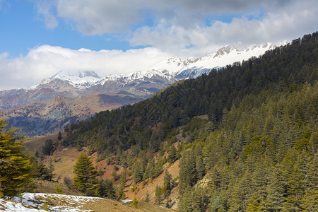 风景优美绿色土耳其的冰雪和山风景天空图片