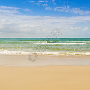 美丽的沙滩海景图片