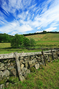 在苏格兰草原上放牧的牲畜旧石墙隔开这些地产天空联合的老图片