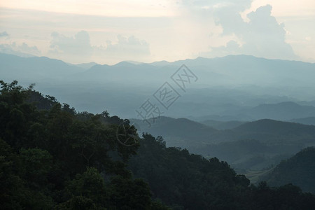 多于山清晨有雾覆盖的森林凉爽阳光明亮风景图片
