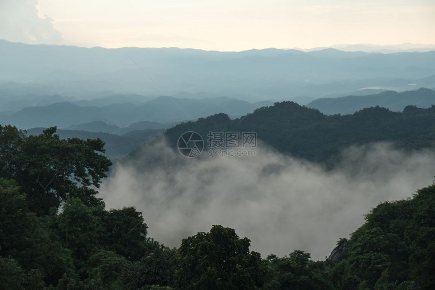 风景优美公园顶峰清晨有雾覆盖的森林凉爽阳光明亮图片