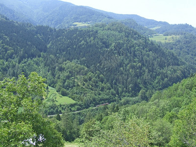 夏天村庄山间客运列车景间铁路运输绿林谷全景客运列车景场图片