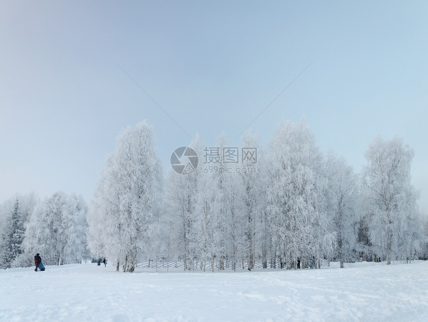 下雪的苍白乡村冬季风景野生树周围布满冰霜的人在俄罗斯Arkhangelsk附近的MalyeKorely旅游综合建筑群中行走图片