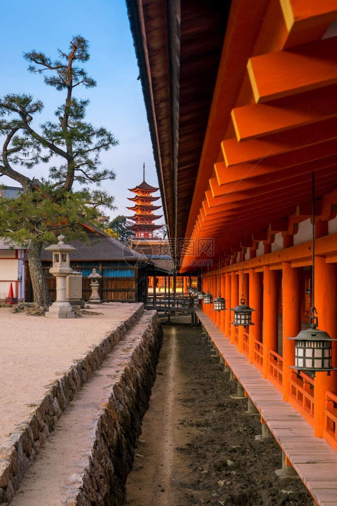 古老的日落时在本宫岛的神社水历史图片