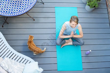 在家里与YogaOnDeck上瑜伽进行冥想时使用宠物猫的自然女超版视图人们中间在职的背景图片