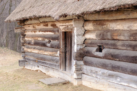柳条关闭乌克兰历史公园内有稻顶的古老小屋关闭带有顶的古旧小自然地标图片