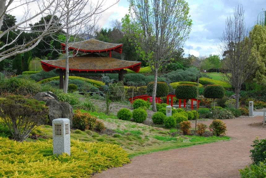 植物群新的东方澳洲南威尔士的日本花园一景场图片