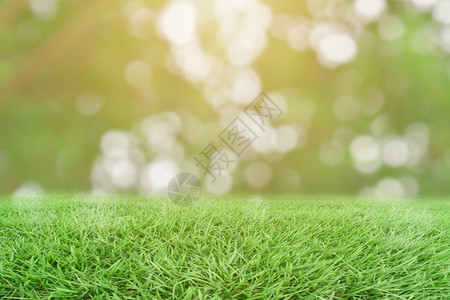 美丽墙纸生态绿草和模糊的bokeh自然背景图片