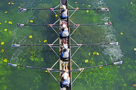 赛艇运动员四位女在蓝湖上划船队空中观蓝色的活动图片