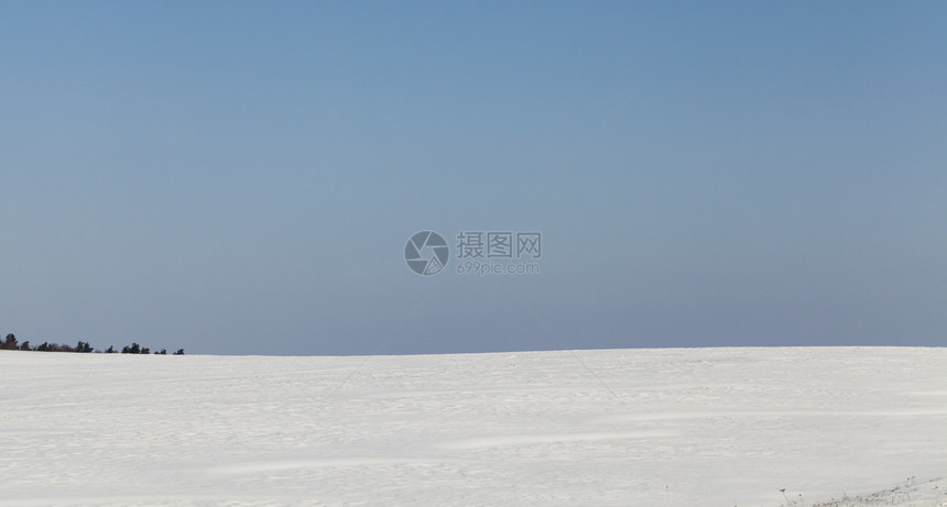 阳光明媚的冬季风景与蓝天和田地上积雪树木在地平线上生长寒冷的农田美丽图片