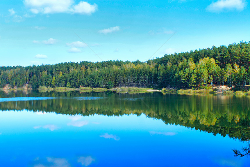 树美丽的森林湖与松中的翡翠水美妙自然景观水全野生自然与翡翠水的森林湖美丽泊全景冷静池塘图片
