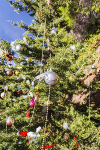 自然背景下森林中装饰的圣诞树森林中装饰的圣诞树闪亮喜庆冷杉图片