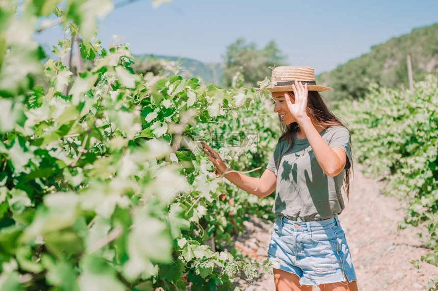 夏日戴着帽子在葡萄园妇女中走动的快乐旅游女客在阳光下葡萄园中晒太阳酿酒师农民图片