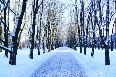 寒冷的冬季城市公园天美丽的公园有很多大树和雪道现代的外部图片