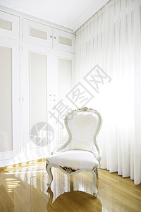 用餐活的在客厅白色经典椅子装饰和优雅风格等细节服装图片