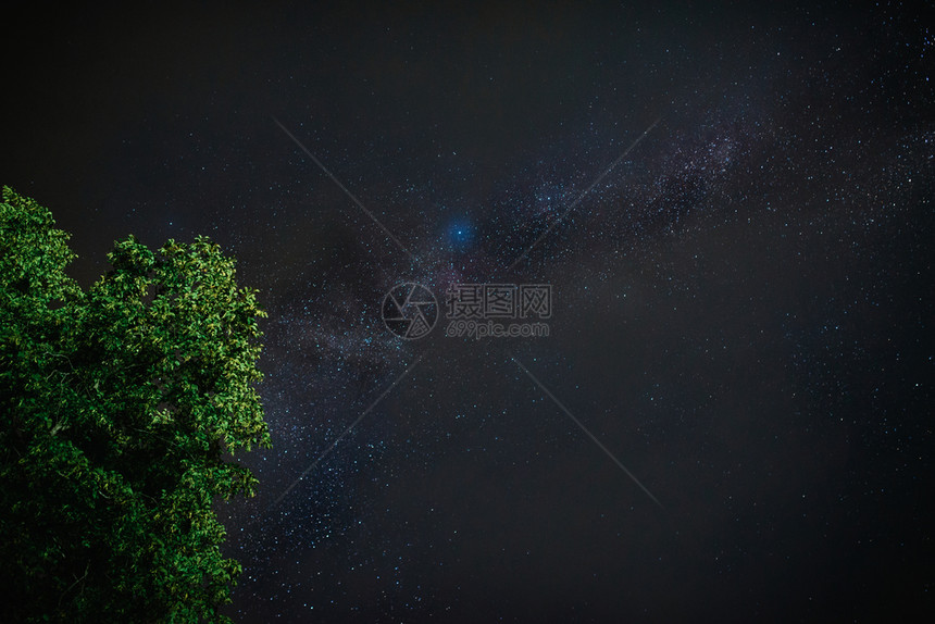 银河系格鲁吉亚的美丽大自然拉查树木黑暗的星图片
