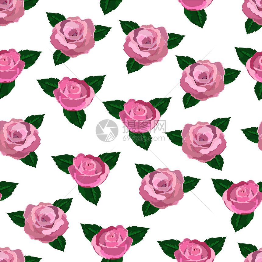花瓣女化剪贴画白色背景的粉红玫瑰叶子和墙纸上的粉红玫瑰色图片