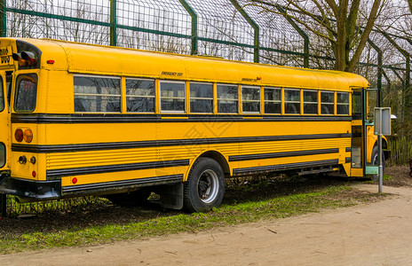 美国人黄古老的校车复送孩子上学的交通教练过境图片