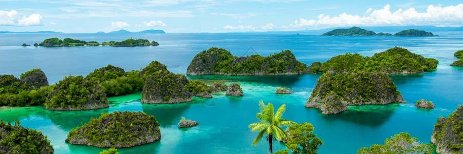 蝠鲼水下风景优美RajaAmpat的Fam岛查看Raja印度尼西亚的图片