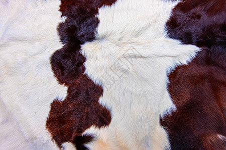 兽垃圾摇滚装饰棕色牛皮外衣纹理黑白和棕色斑点图片