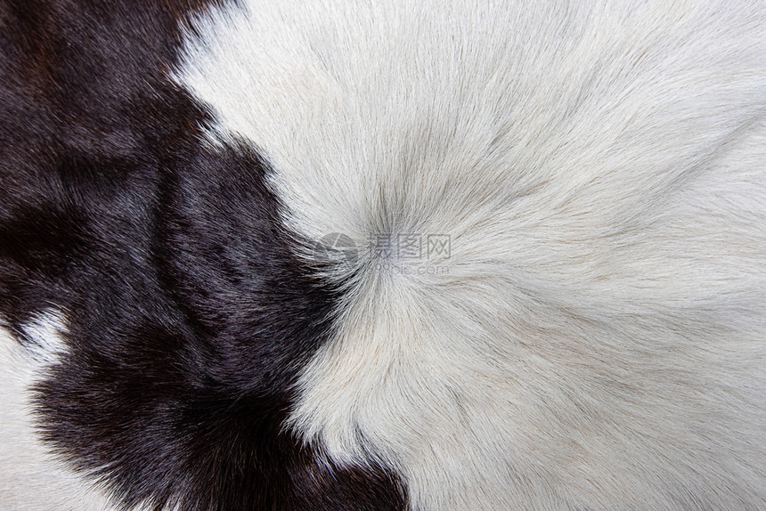织物自然质地棕色牛皮外衣的纹理黑白和棕色斑点图片