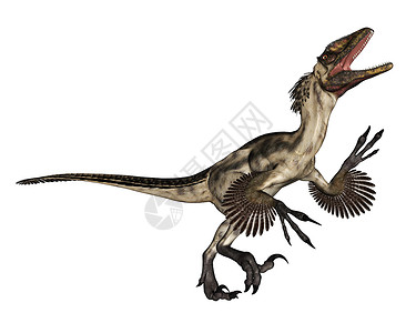 动物爪实际的肉食三维Deinonychos恐龙在白色背景中孤立咆哮3D化Deinonychus恐龙咆哮3D化身设计图片