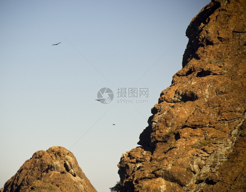 飞猎物3只黄尾鹰高举红色悬崖脸多于图片