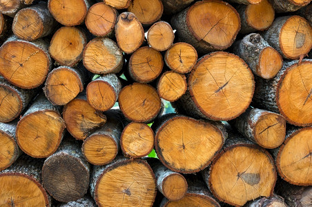 剪柴堆叠的木和为冬季准备的烧柴火林材料行业圆圈图片