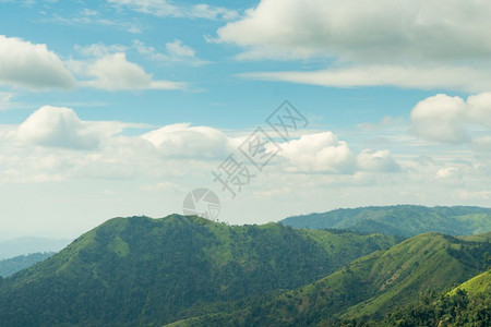 山丘森林风景图片