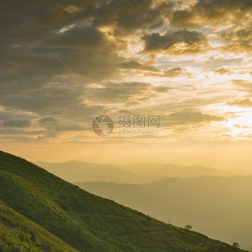 风景清晨山丘和森林日出黎明温暖的夏日空气多雾路段图片