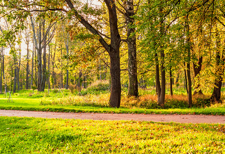 秋天阳光明媚的公园图片