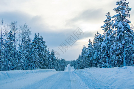 白雪皑晚上松树芬兰冬季空路森林清公路您可通过雪雨林之夜渡冬季的空高速公路在芬兰森林中畅通无阻背景图片