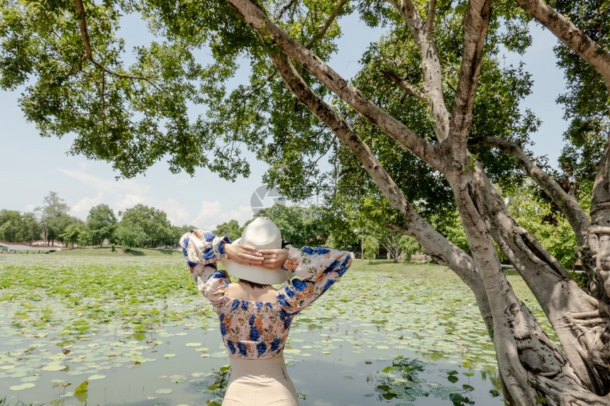 绿色花的女人背面在湖里用露池放松水里有大树美丽图片