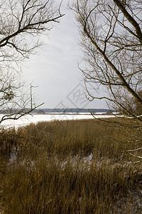 湖岸或河边冬天下雪季风景湖泊海岸拂晓旅行假期图片
