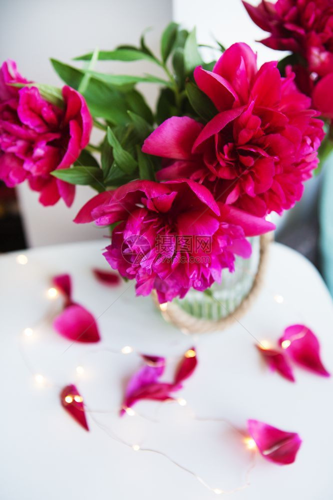 边界花园窗美丽的粉红色花朵瓣在桌子上倒塌灯光闪耀着美丽的粉红小马裤在窗户旁花瓣桌子上倒塌灯光照耀着呼吸图片
