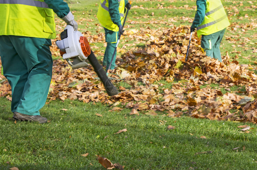秋天工人在公园里清理落叶图片