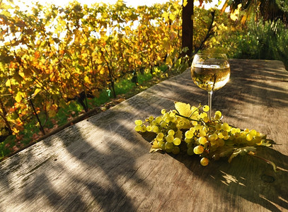 农业饮料葡萄酒和叶子图片