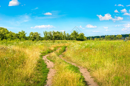 风景田野公路地农村土质田地高草植物乡村的图片