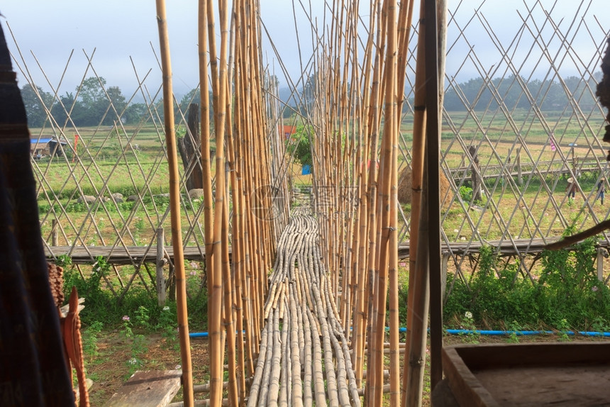 木制的桥是竹子做自然建筑学图片