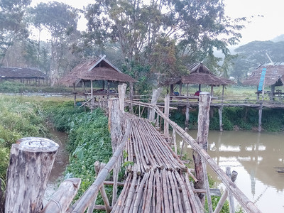 桥是竹子做的花园旅游自然图片