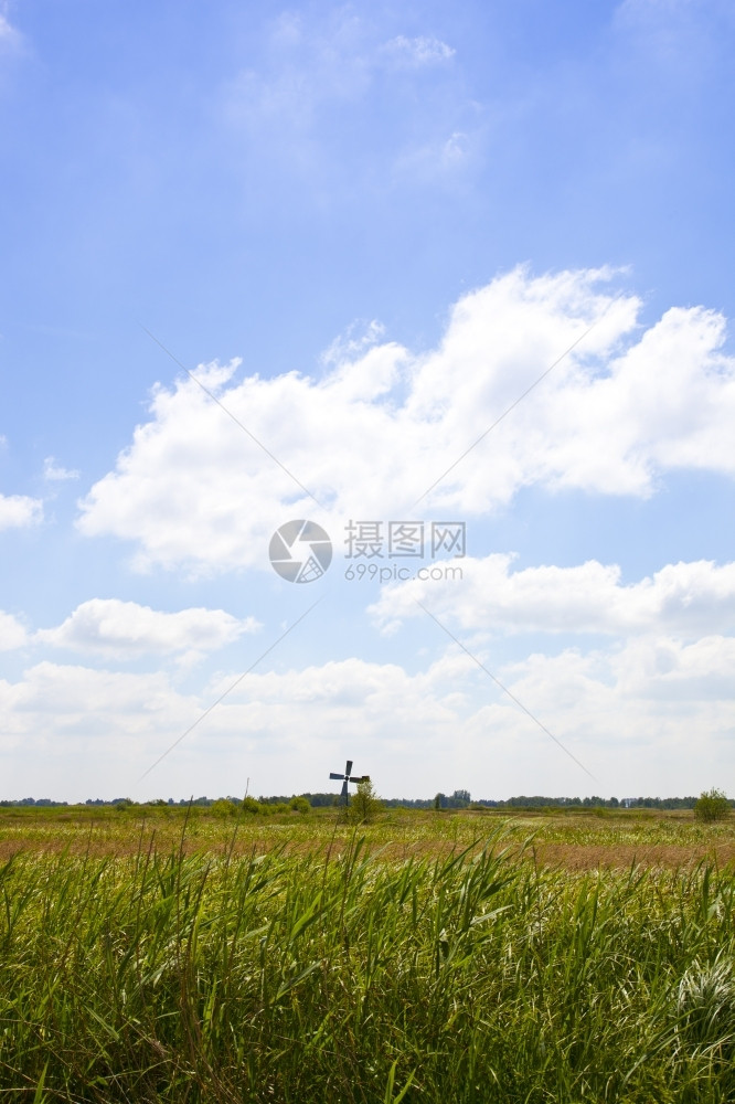 美丽的荷兰风景图片