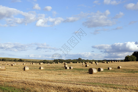 所有的大麦全收割谷物夏季风景稻草堆积之后的美丽圆草图片