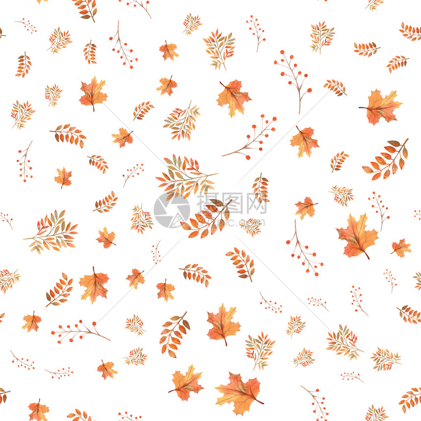秋天丰富多彩的无缝秋叶背景白色孤立上的浆果水彩插图无缝秋叶背景白色孤立上的浆果水彩插图枫图片
