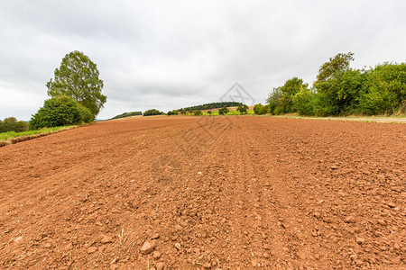 场地舍内维尔德国Sauerland地貌的棕色草照片背景图片