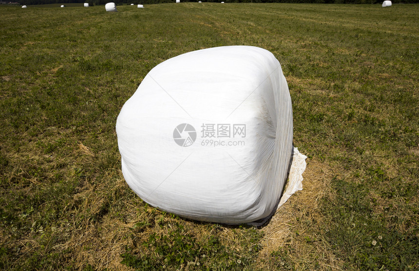 天气圆形的秋农耕田夏地牧场畜饲料在牲养中收割时包装的干草图片