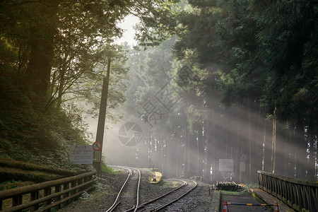 迷雾森林中的铁路图片