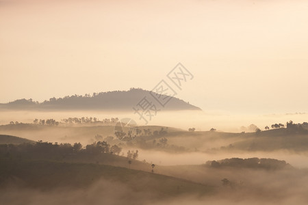 薄雾笼罩的山林风光图片