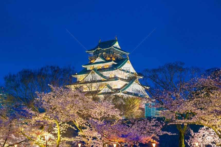 城市满的大阪堡日本樱花满天开粉色的图片